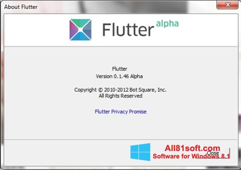 Скріншот Flutter для Windows 8.1