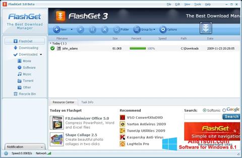 Скріншот FlashGet для Windows 8.1