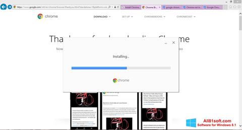 Скріншот Google Chrome Offline Installer для Windows 8.1