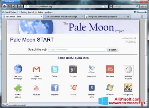 Скріншот Pale Moon для Windows 8.1