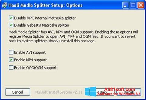 Скріншот Haali Media Splitter для Windows 8.1