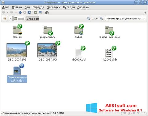 Скріншот Dropbox для Windows 8.1
