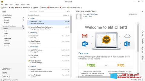 Скріншот eM Client для Windows 8.1