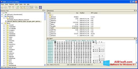 Скріншот DMDE для Windows 8.1