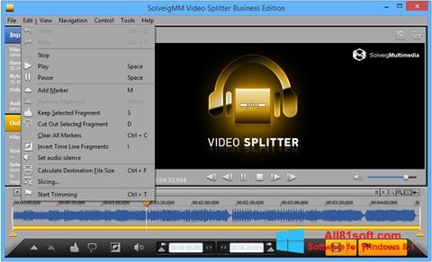 Скріншот SolveigMM Video Splitter для Windows 8.1