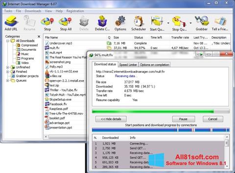 Скріншот Internet Download Manager для Windows 8.1