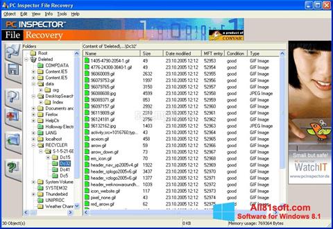 Скріншот PC Inspector File Recovery для Windows 8.1