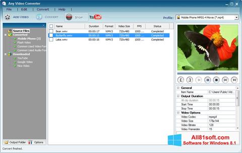 Скріншот Any Video Converter для Windows 8.1