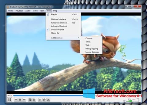 Скріншот VLC Media Player для Windows 8.1