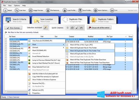 Скріншот Duplicate Cleaner для Windows 8.1