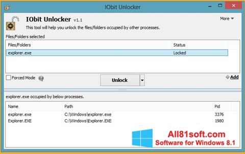 Скріншот IObit Unlocker для Windows 8.1