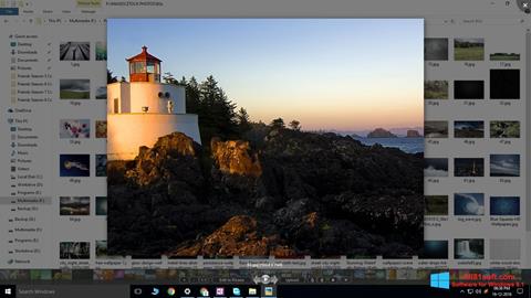 Скріншот Picasa Photo Viewer для Windows 8.1