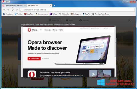 Скріншот Opera Developer для Windows 8.1