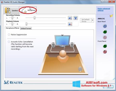 Скріншот Realtek Audio Driver для Windows 8.1